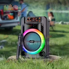 KTS 工場卸売 KTS シリーズ KTS-2199 屋外ポータブル 8inch ワイヤレスマイク Bluetooth スピーカー RGB