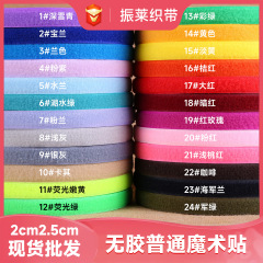 2cm2.5cm糊なし普通のマジックテープは白黒カラーの大量品質が優れている120色の現物を持っている