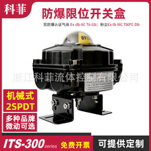 ITS-300���w�ۉm��λ�_�P��ExdbIICT6Gb ExtbIIIC T80&deg;C Db