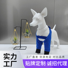 �����ȱ��o�׹����oϥ�o���o�߹����o���·�����ů�������oϥ