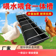 �uʳ���u���Z��ʳ���ˮ���ˮι��һ�w���B�u�ϲ�ɢ�B����ʳ��