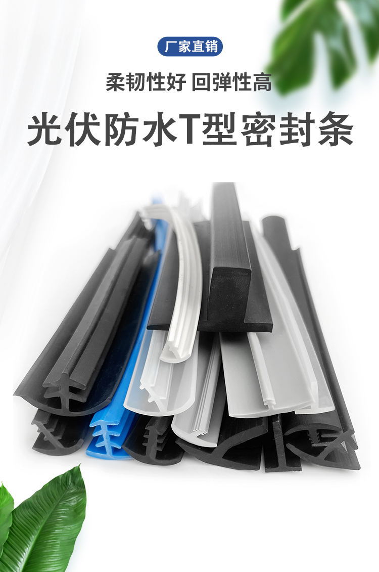 光1.jpg