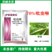 ��70%���x���Ҙ������߲˸��{���x�rș���x��ˮ��ɢ��Ч���x