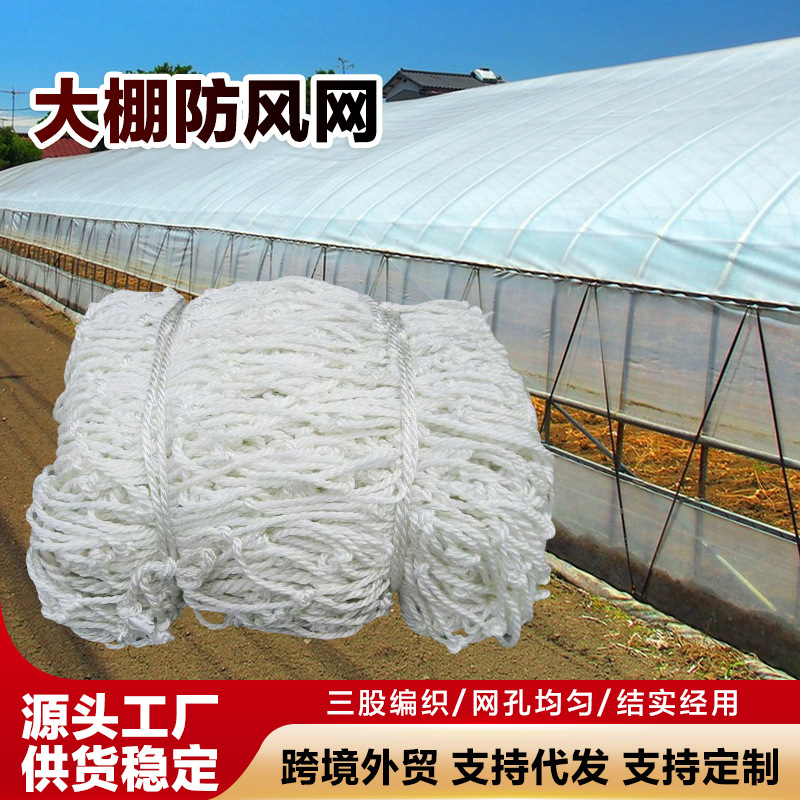大棚防风网防护挡风网温室蔬菜大棚压膜防风网尼龙防护网封车网