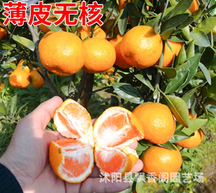�o���۽��� �޽ӽ��Ә���޽ӹ����ȸ������Ϸ������Nֲ���]