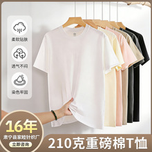 210���ذ����޶�����ʽT������ɫ��������e�����w����