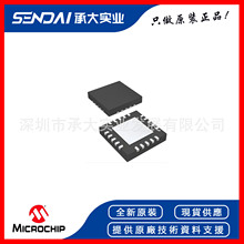 MICROCHIP微芯 UCS1002-2-BP USB专用充电端口电源开关QFN-20原装