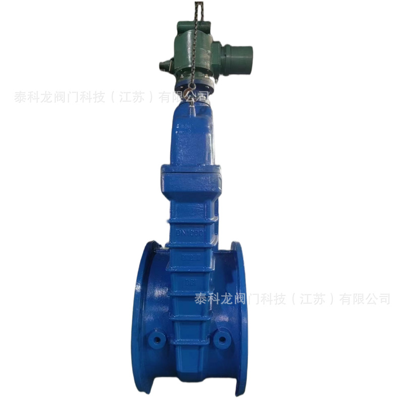 DN1000 电动闸阀