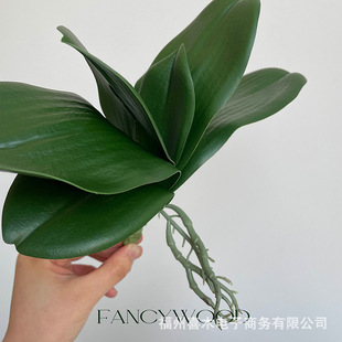 ��Ʒ�|�����zƬ�����m�~�ӿ羳���ldiy�����m���Ի�ˇ�OӋ�Ҿ�