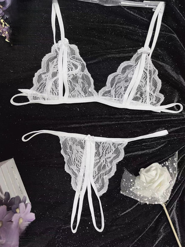 Lingerie for women, open-crotch sexy three-point bra and underwear set, separate two-piece, tempting sheer, one-piece drop shipping
