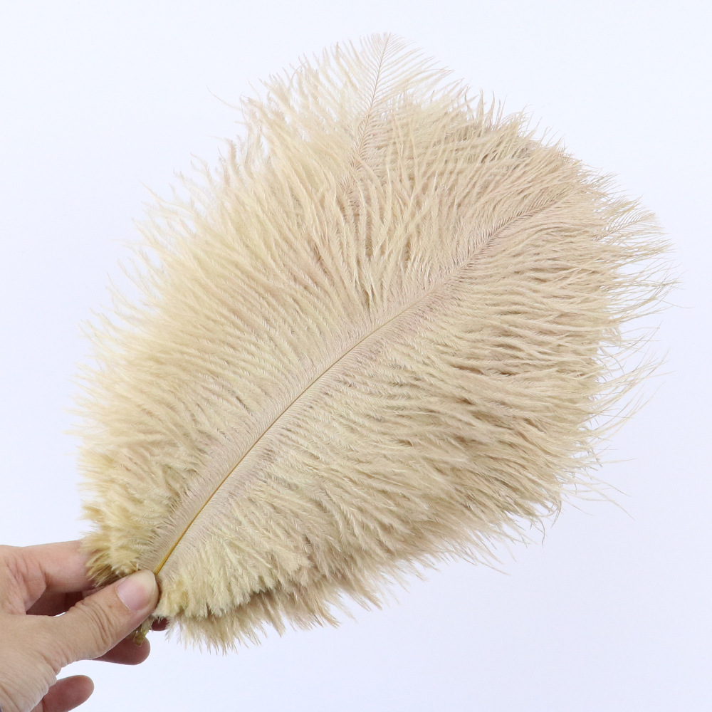 낙타 20-25cm, 10개입