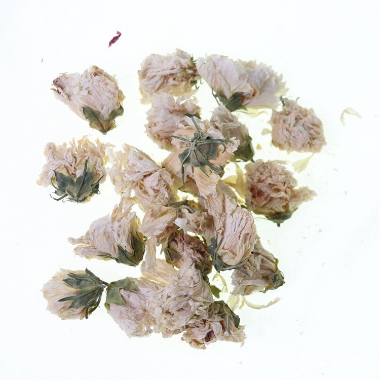 히비스커스 꽃 500g