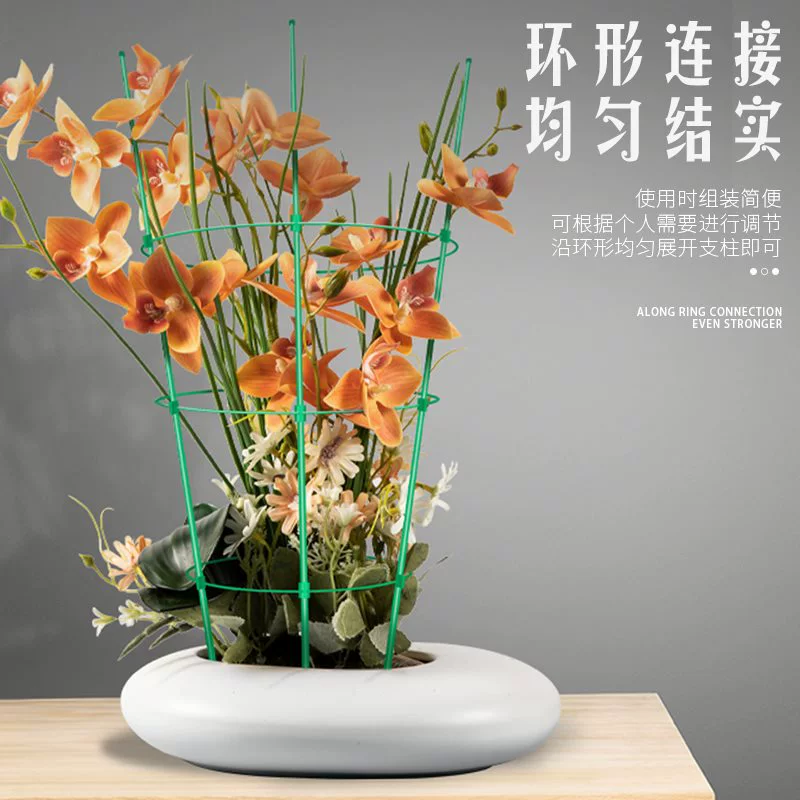 Timeto -когда л 클imbing Flower Gardening Pillar Balcony Green Rose Rose Rose Tienine Lotus Teng Botan Plants Climbing Crab Claw Support Ring