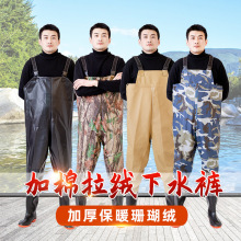 ���������q�Ӻ�һ�w����ˮѝ�B�w������ˮ��沶�~��~�Oѝ���o��