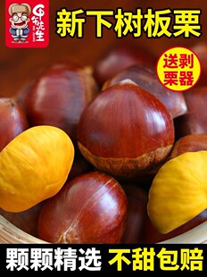 2025���r�������|5���r���������۰����F��Ұ�����l ���Ͱ�����