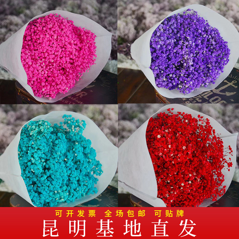 [Gymsophila] dried flower factory wholesale Valentine's Day gift eternal flower Gymsophila bouquet decorative diy flower