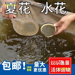 ˮ���~�����l�a�~�~���~���^�����������~���~����~�N���~