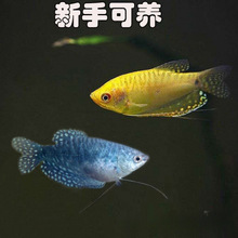 ���S��ˮ�~����ˮ���ͻ���B���~�{�����O�����l�Ꭷ�^�p�~