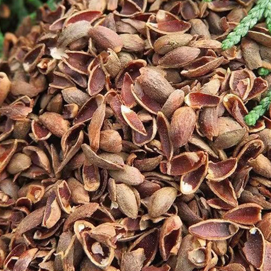 花と草の枕、ヒノキの種殻、コイリの殻、宮殿用枕、長方形の頸椎保護枕、粗い布製のヒノキの殻枕、高さ調節可能|undefined