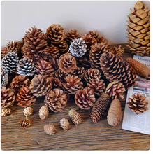�ɹ��b�Ʒ�[������Ұ��DIY�ֹ����ϸɻ��h���׃��@ɭ�ָɘ�֦��
