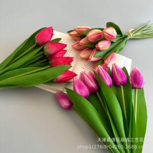 12�^�����㻨�� ���滨���Q���ڰ��������� �Ҿ� �zӰ �����b�