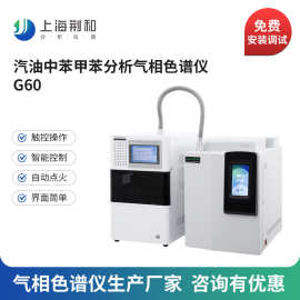 荆和 精制车用和航空汽油中苯和甲苯分析气相色谱仪