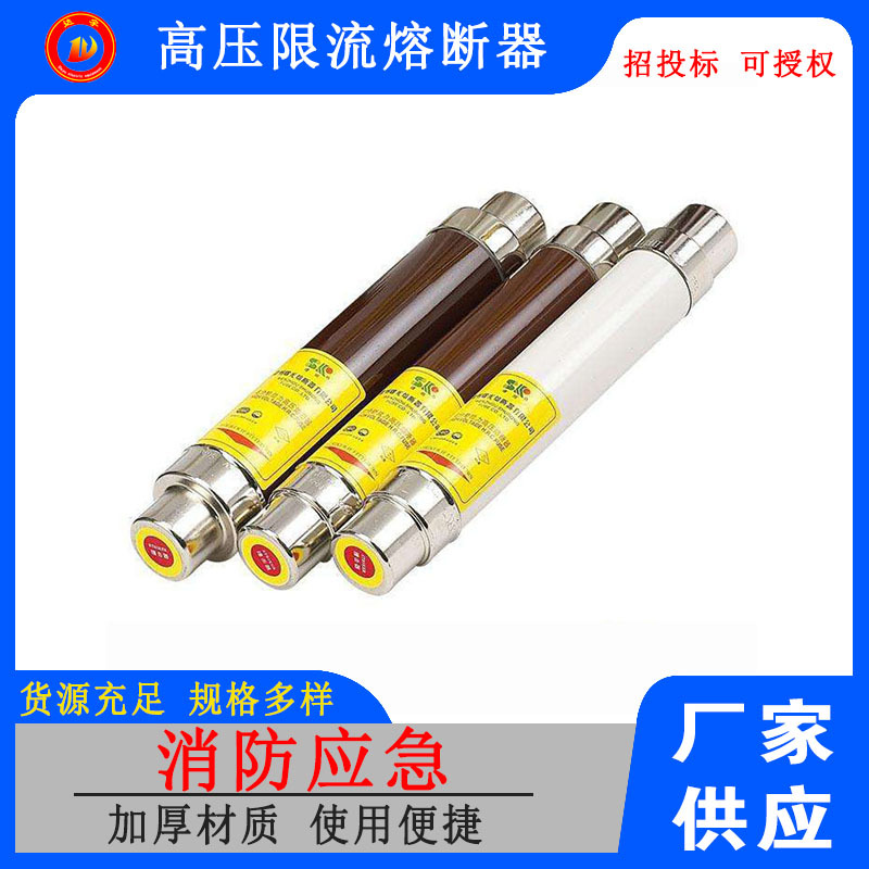 电压互感器保护用高压限流熔断器XRNP1-24/0.5～3A 25*354