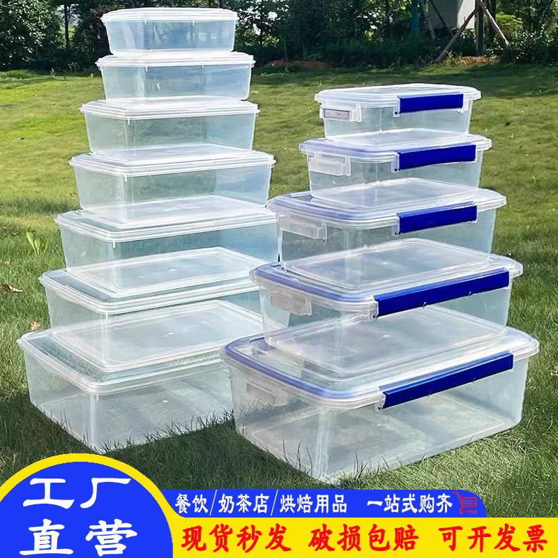 Plastic Transparent Food Storage Box, Microwaveable, Refrigerator-Safe, Rectangular Lunch Box