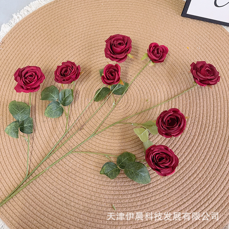 8송이 장미 - 빨강