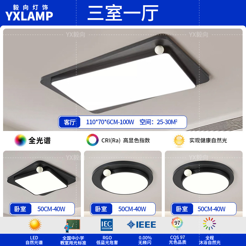 Luz de techo minimalista italiana sala de estar luz principal LED atmósfera creativa simple negro de alto nivel protección de ojos lámpara de dormitorio principal