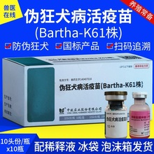 中牧猪伪狂犬活疫苗k61株小猪疫苗滴鼻伪狂犬猪疫苗猪用兽药兽