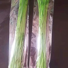 �ֹ�DIY ����õ�廨�������l ���U�F����֦ �r���G�F�z  �����F�z