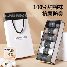 Cillobe Koltap��ʿ�\���m���ж��m���|������Ͳ͸��������������