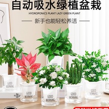 lؔG}҃ԻܾGֲk҃ˮСֲBȩ