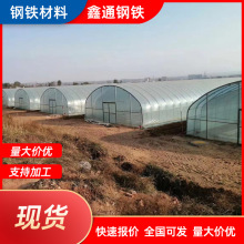 设计安装包塑大棚 畜牧养殖大棚 养鸡棚、鸭棚、猪棚、畜牧大棚