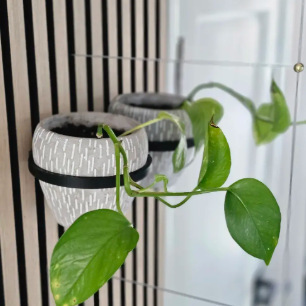 Amazon Cross-Border Soundproofing Board Wall Flower Pot Bracket Plant Tray Plant Shelf Green Plant Hanging Potted Plant