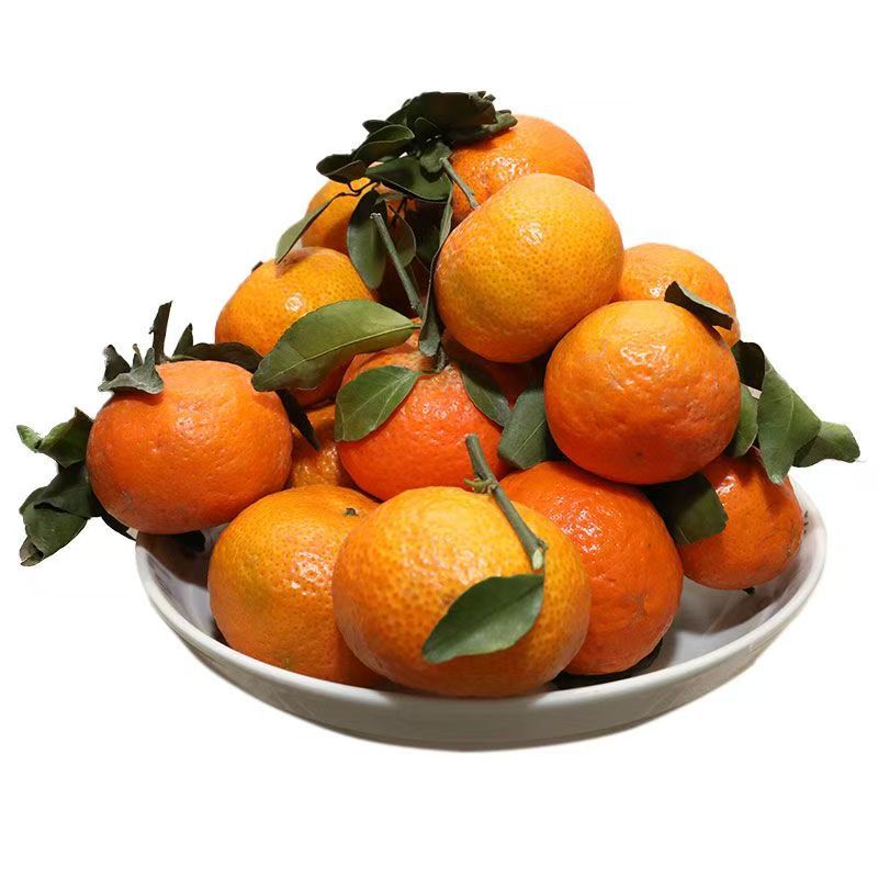 뜨거운 판매 팩 2.5kg