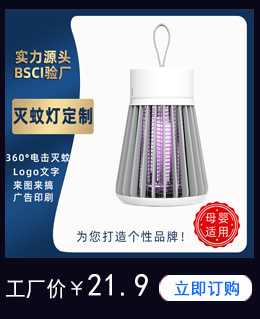 CN-10小灭蚊灯定制