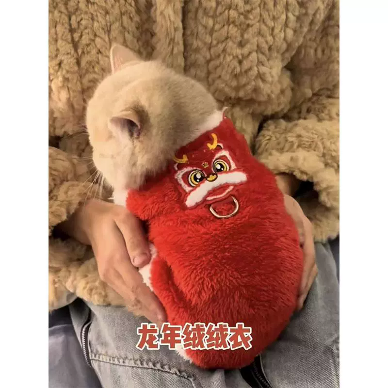 Домашняя кошка одежда осень, зима и Новый год