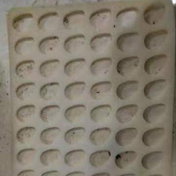 草莓缓冲海绵内衬/草莓缓冲海绵内托/草莓缓冲海绵衬垫/草莓海绵