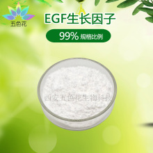 EGF粉末99% 重组生长因子 EGF生长因子 1克/支 现货 egf冻干粉
