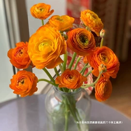 过家家玩具;拼插类玩具;童车座椅配件