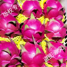 ��һ̖�t�Ļ������������rˮ���������l���������5��