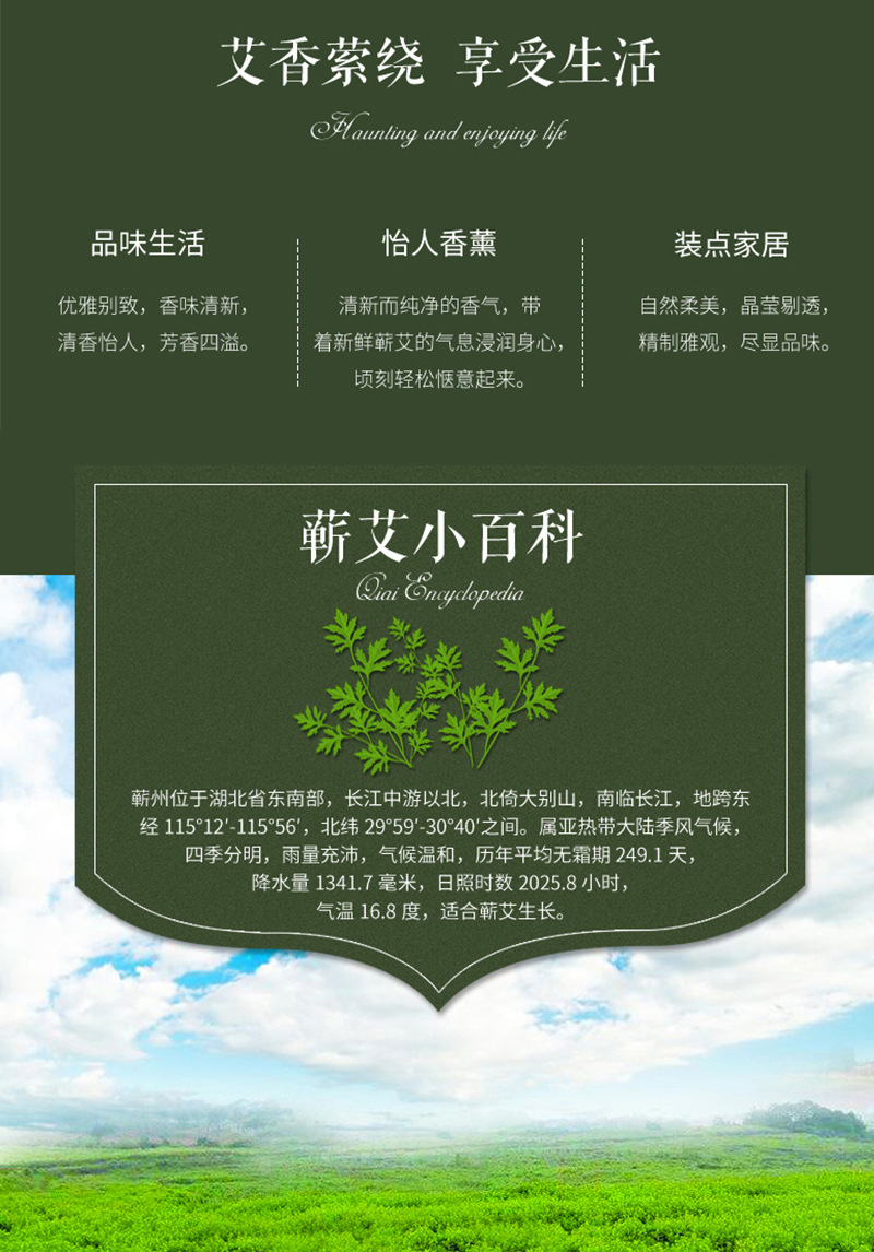 Qichun Mugwort Essential Oil 10ml Herbal Massage Oil for Wellness and Aromatherapy in use