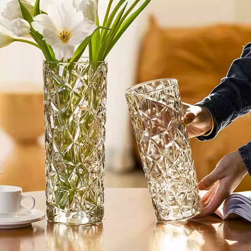 Большая бытовая утолщение прозрачного стекла ваза из богатого бамбука гидропонная лилия сушеный цветок столовая ваза