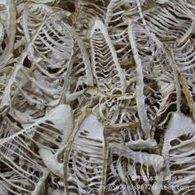 �Ĵ����e�L��������ë��S�ɹSƬ���mƬ���SƬ�S���؛�r�aƷ