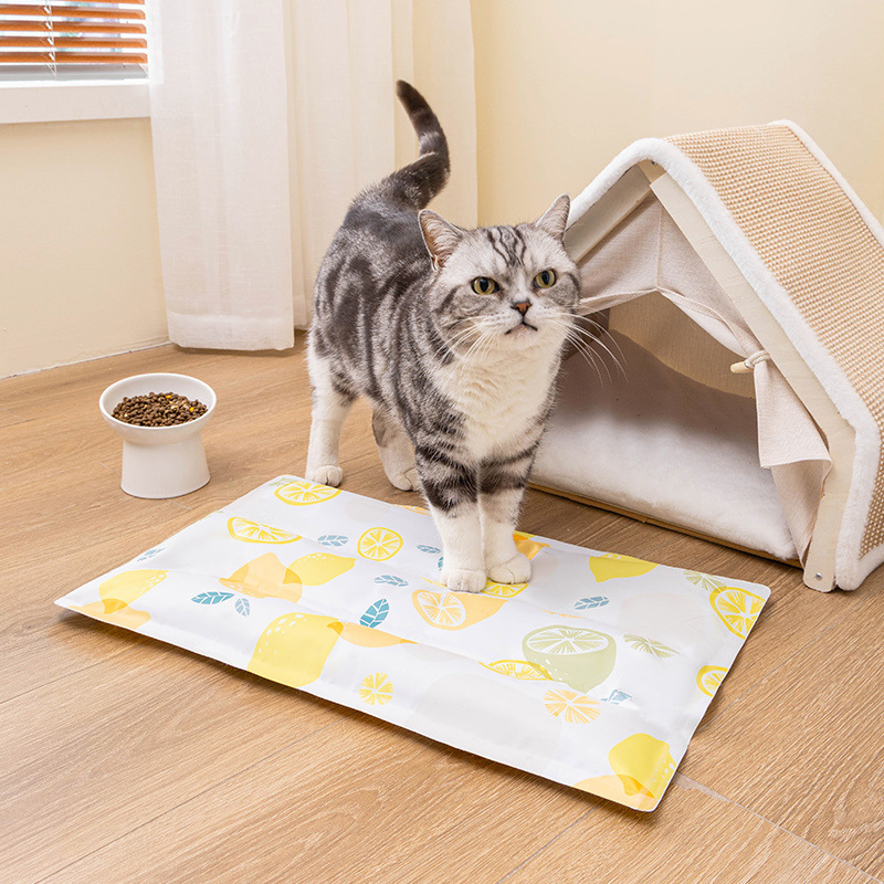 [얼음 느낌 2배, 즉각적인 터치] 바이브런트 레몬