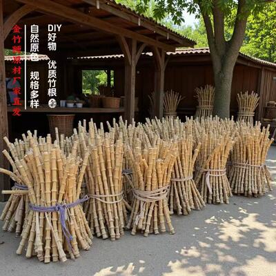 优质竹类竹根金竹鞭烟斗柄茶漏柄DIY原材料竹工艺品厂家批发|ms