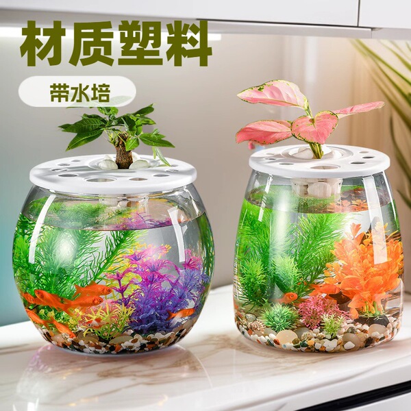 Plastic transparent aquarium for home use for living room