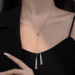 Titanium steel non-fading sweater chain women's 2025 new necklace long style high-end luxury niche high-end accessories